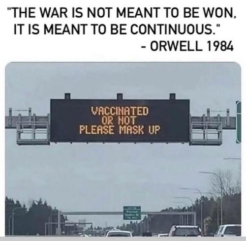 img.jpg wt