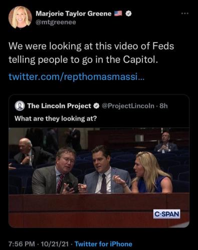 LincolnProjectTrollsMTG1