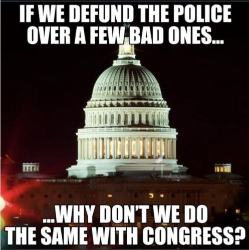 Defund Congress Police Over a Few Bad Ones