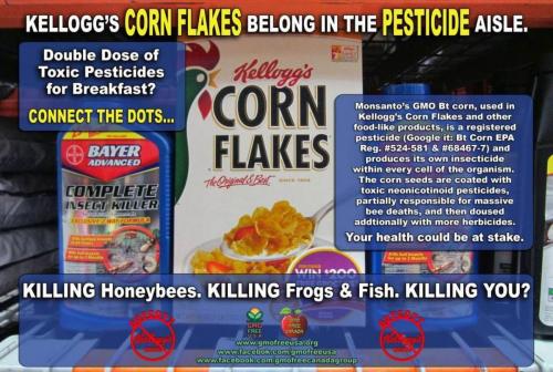 photo_2021-09-30_14-21-05