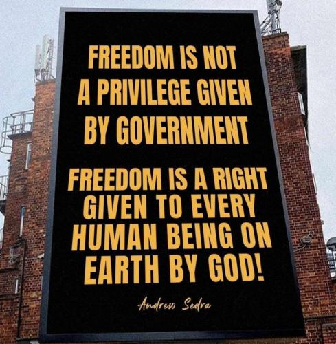 image_1633432497.306