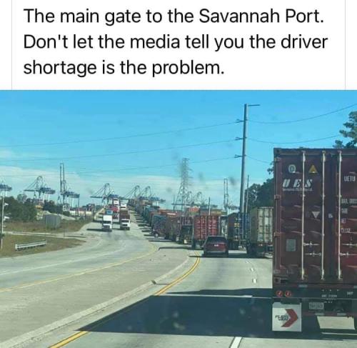 128F3113-AFB0-492B-A7D8-C4CF0212014E