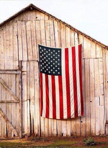 Flag - On barn 2