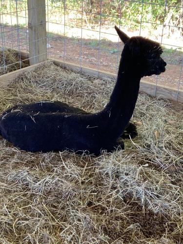 322356D8-0735-4EFE-86A2-F65A29ACD236