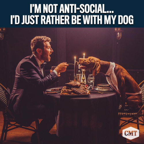 43230505_10155984891238196_6220477473545519104_n