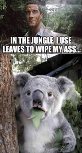 8A1FBC00-371B-421B-8AF2-0BF07561A2E2