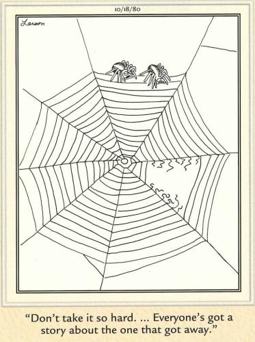 The one that got away