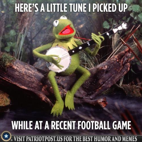 cda54e0429220ab8a9a5812aae3a69f6_500x0