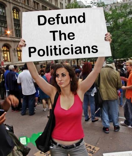 Defund The Politicians