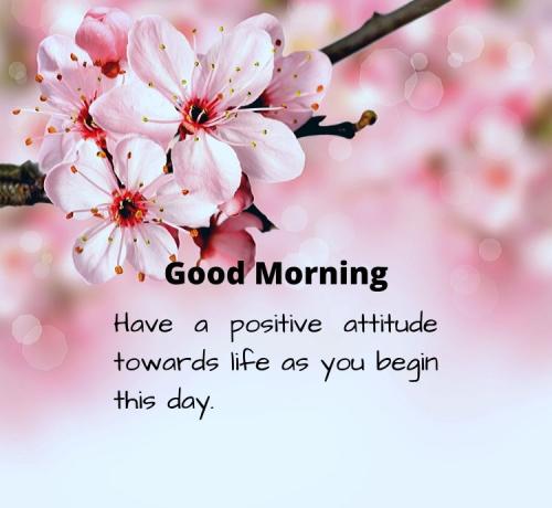 Cute-Good-Morning-Messages-For-Friends