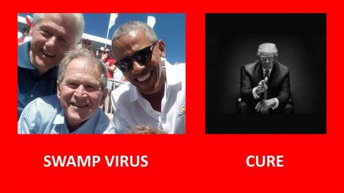 Virus and Cure