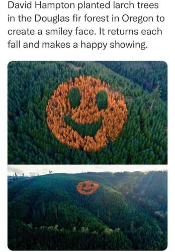 B6D239E2-51E1-4616-8C57-939045E31A30