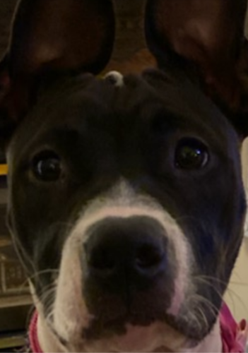 Screenshot_20211013-202737