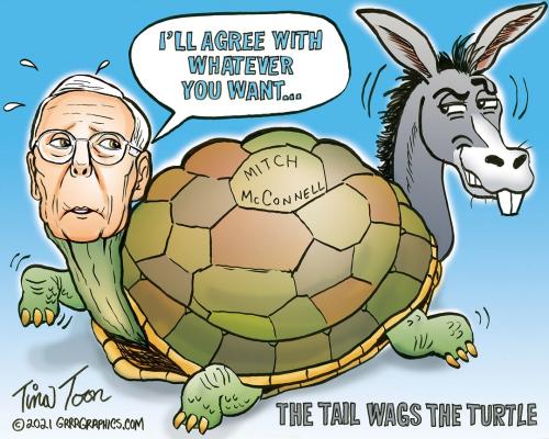 Ben Garrison Tina Toon Time Ditch Mitch RINO