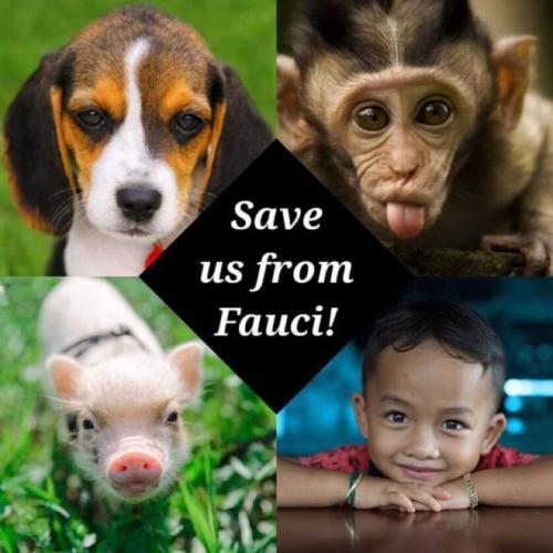 image_1635243755.251