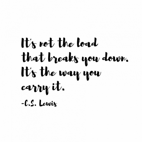 28F0C01F-729A-457E-85F9-0A9238E2E6BF