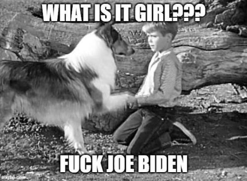 lassie-fuk-biden
