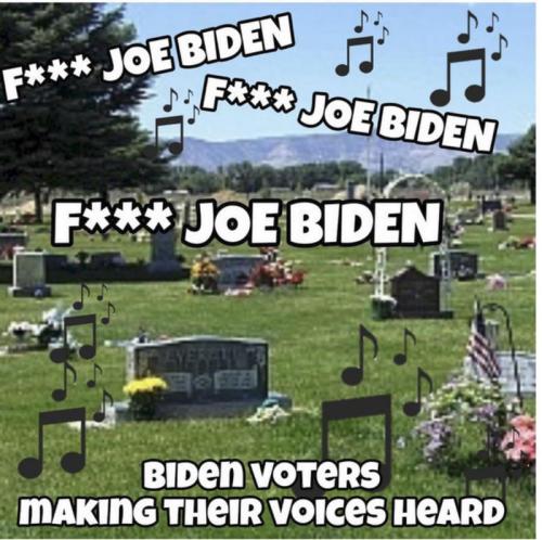 votervoices