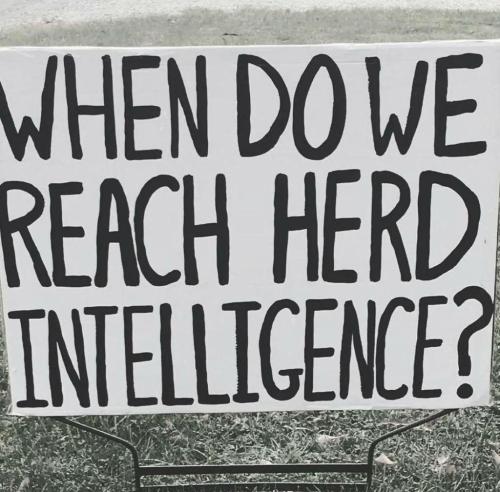 herdintelligence