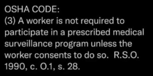 d5b55227d63e5cadc971a211ea2e12e6_1024