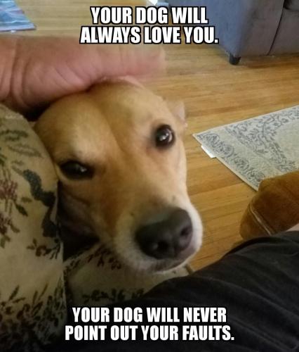 13D28BE4-7AFD-4281-A86B-53AB2F97073F