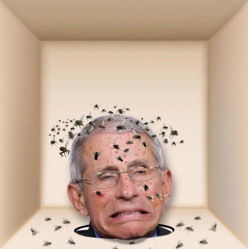 SmartSelect_20211026-210424_DuckDuckGo