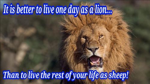 Screenshot_20210921-184832_Brave-picsay