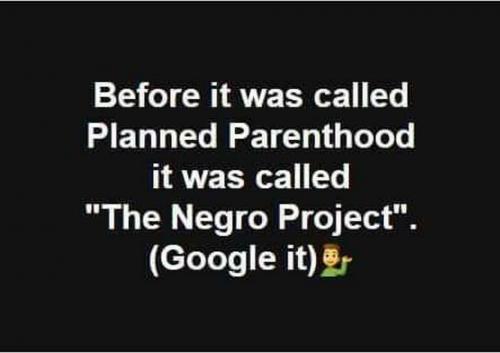 Abortion204