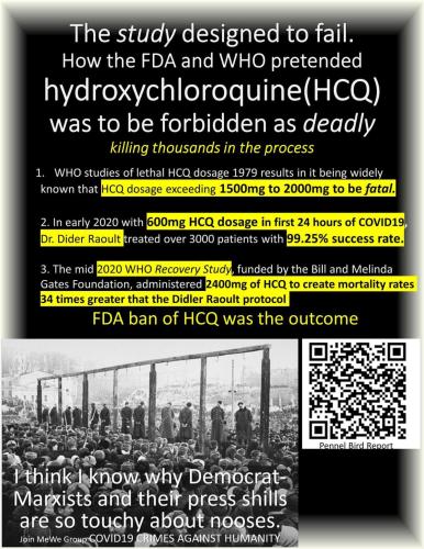HCQ Conspiracy