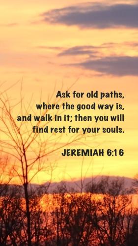 87E63ED9-6902-486F-A08F-D610E532299B