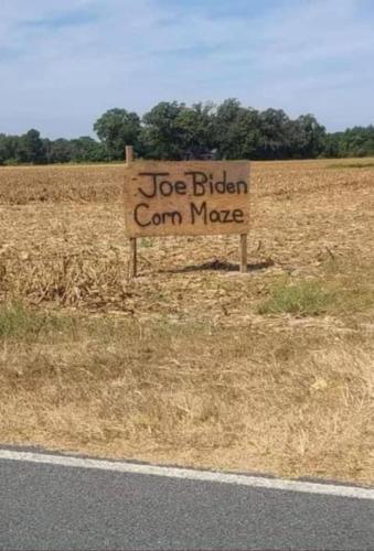Joe Biden Corn Maze