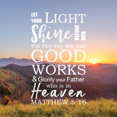 matthew516
