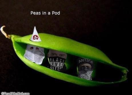 464C84BA-80BC-44CE-B661-BBC24E99B0D0