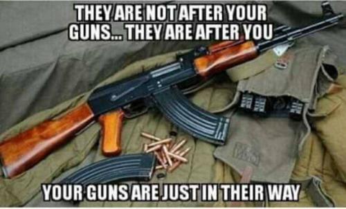 GunControl45