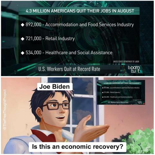 IcoRecov