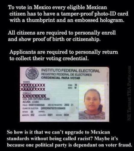 Mexican voting process