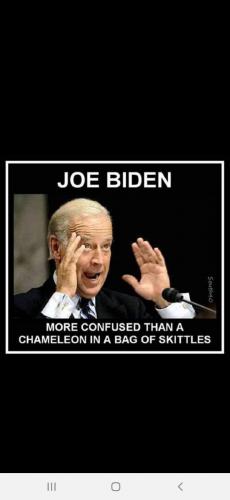 Screenshot_20211006-205331_Wimkin