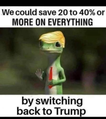 DJTgecko