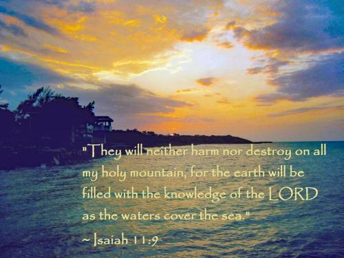Isaiah 11 9