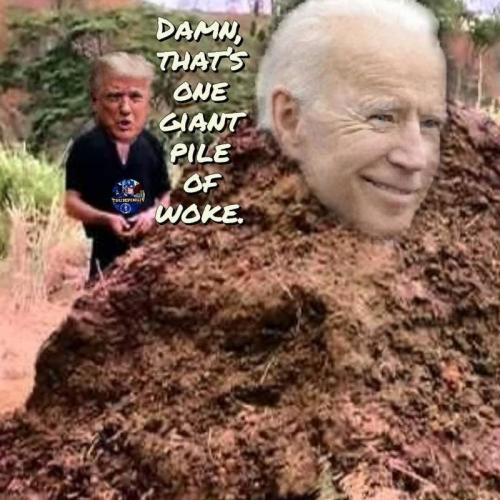 E15CBFBF-5CBB-4C56-80C4-99910B654A31