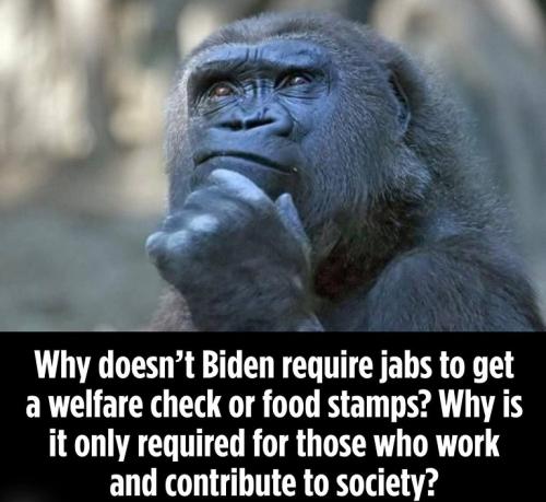 Biden Doesn't Require Jab For Welfare Check or Food Stamps