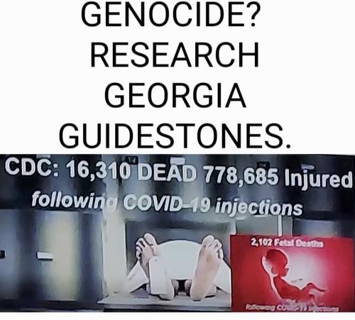 Screenshot_20211028-001431_Gallery