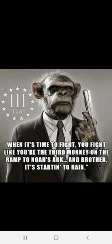 Screenshot_20211020-150500_Wimkin