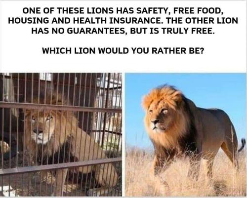 image_1633984689.982