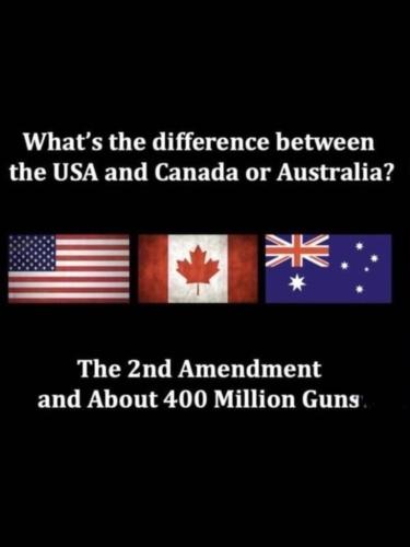 second amendment