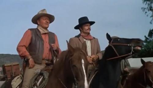 john wayne - grandson