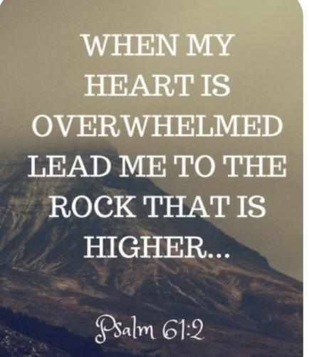 D4415D7F-CEFB-49D0-B2F3-6DE71A44B9BD