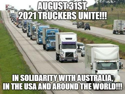 a60c375db5753719eb82539769d3bf64_500x0