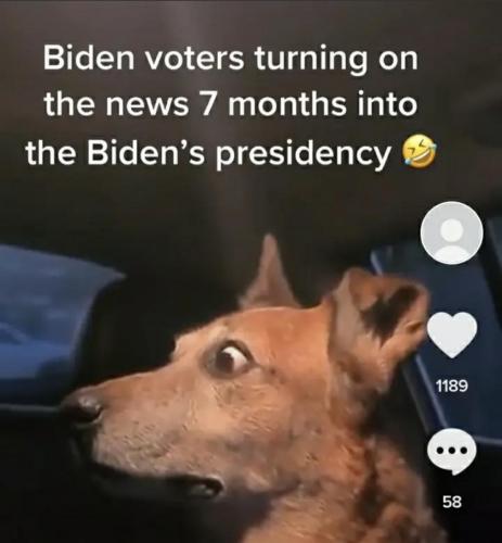 88640D2F-8BC1-4E06-A3A3-958BDD0A459F