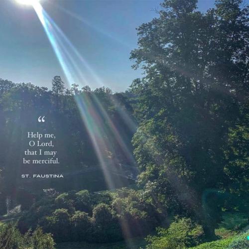 IMG_20211005_123009_353